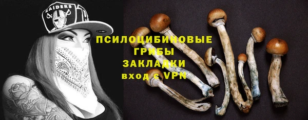 соль ск Вязники