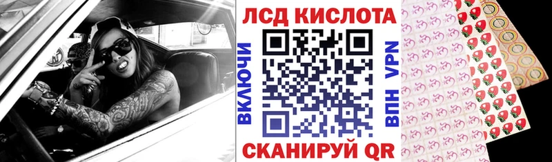Купить где  Западная Двина  Марки N-bome 1,8мг 