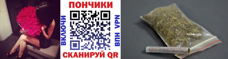 Канабис сатива  Купить где  Западная Двина 